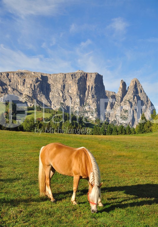 Schlern, Südtirol