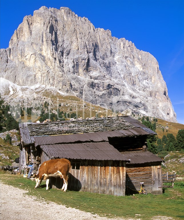 Sellajoch, Dolomiten