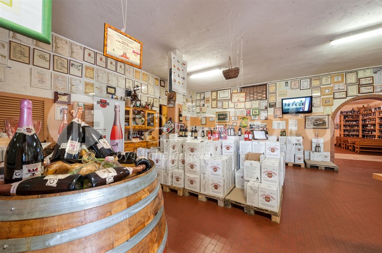 Cantina Costa d'Oro - Bardolino