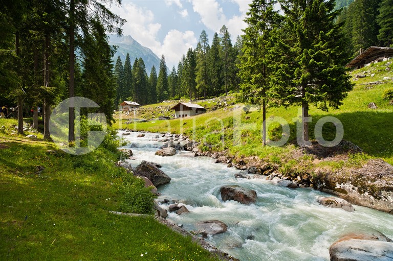 Madonna di Campiglio - Dolomiten