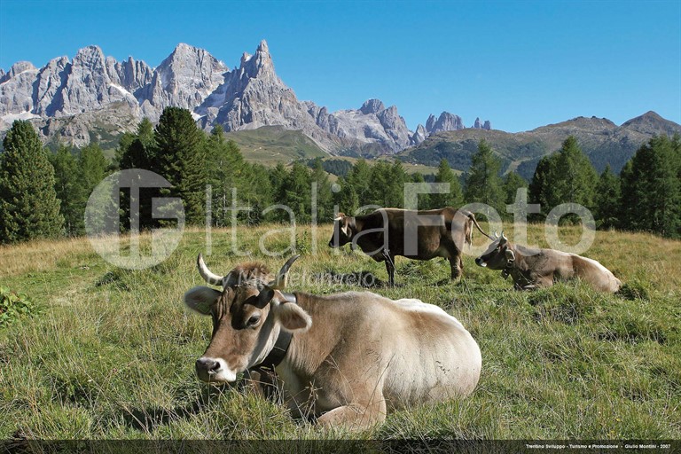 Dolomiten
