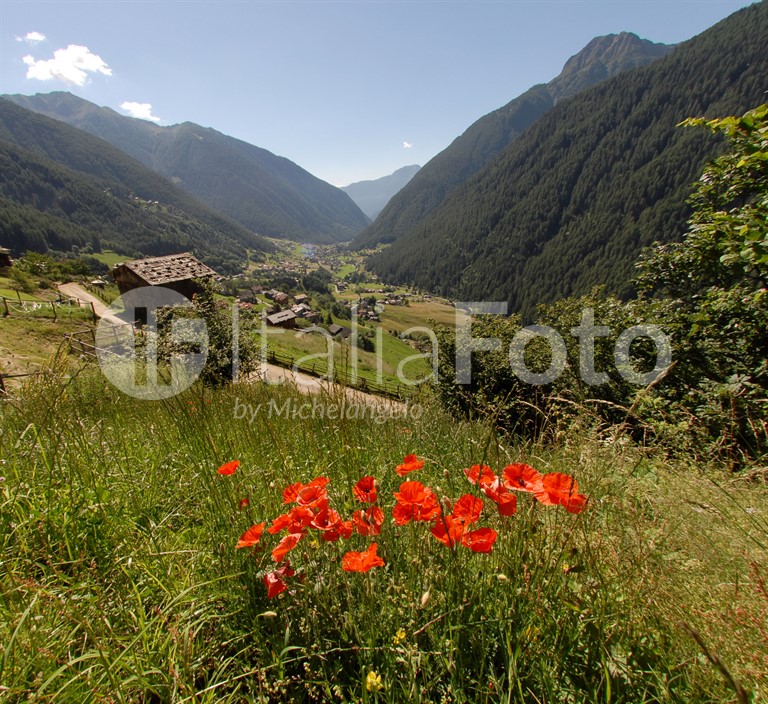 Val di Sole