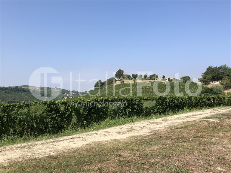 Canelli - Piemont