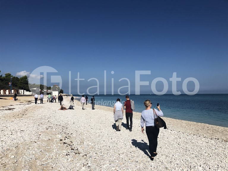 Marken-Portonovo
