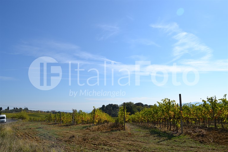 Toscana-Chianti