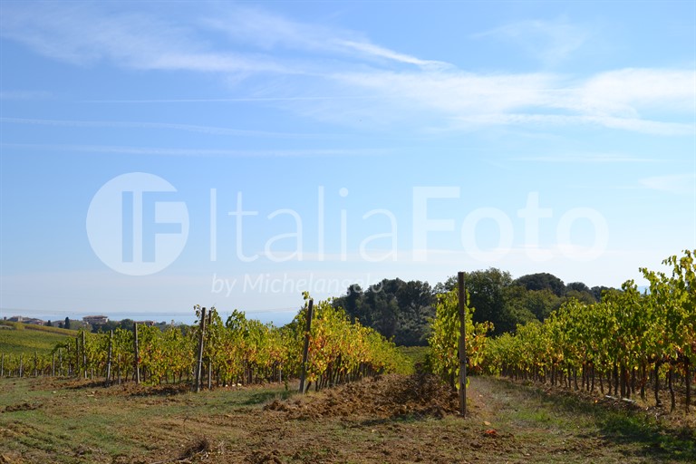 Toscana-Chianti