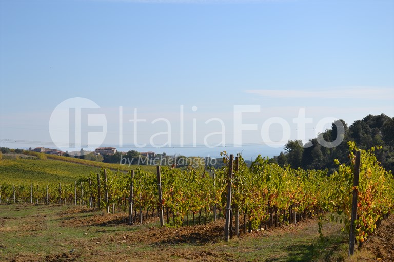 Toscana-Chianti