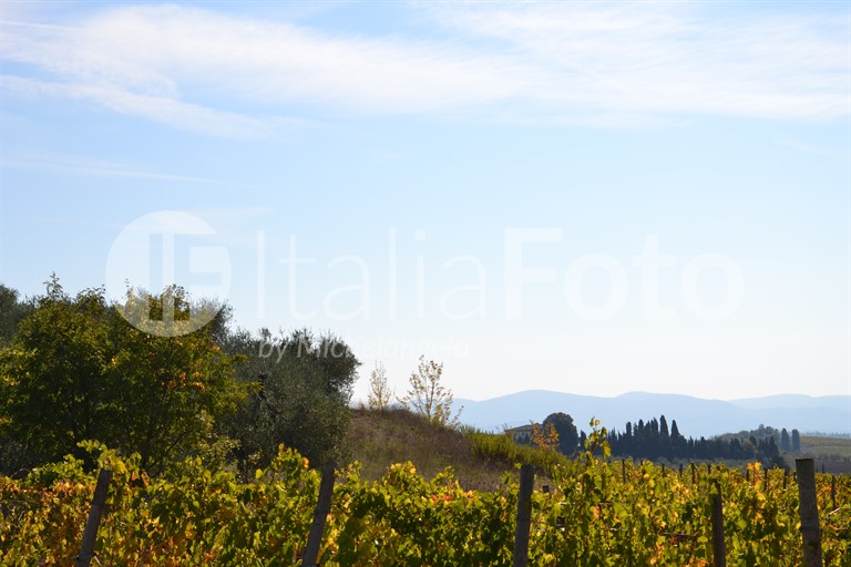 Toscana-Chianti