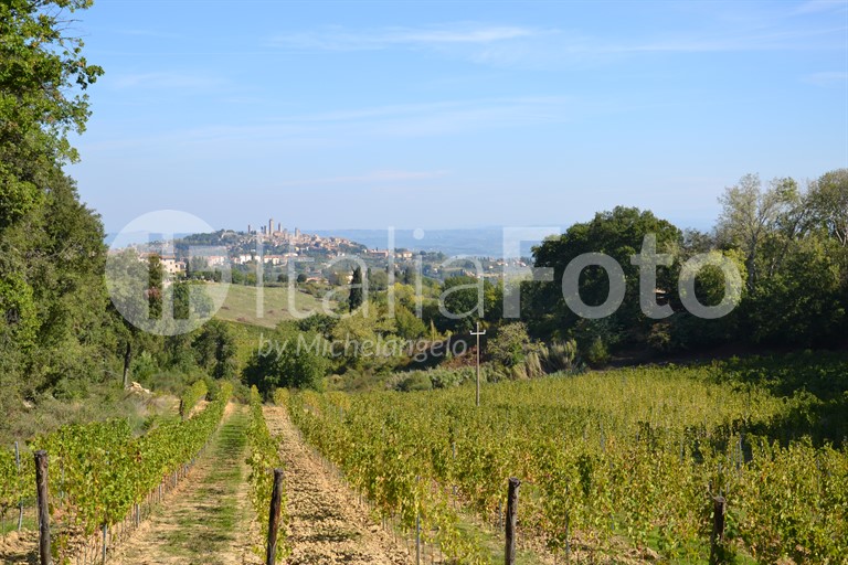 Toscana-Chianti