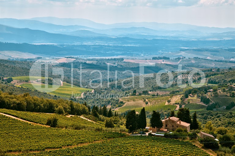 Toscana-Chianti-Castellina in Chianti