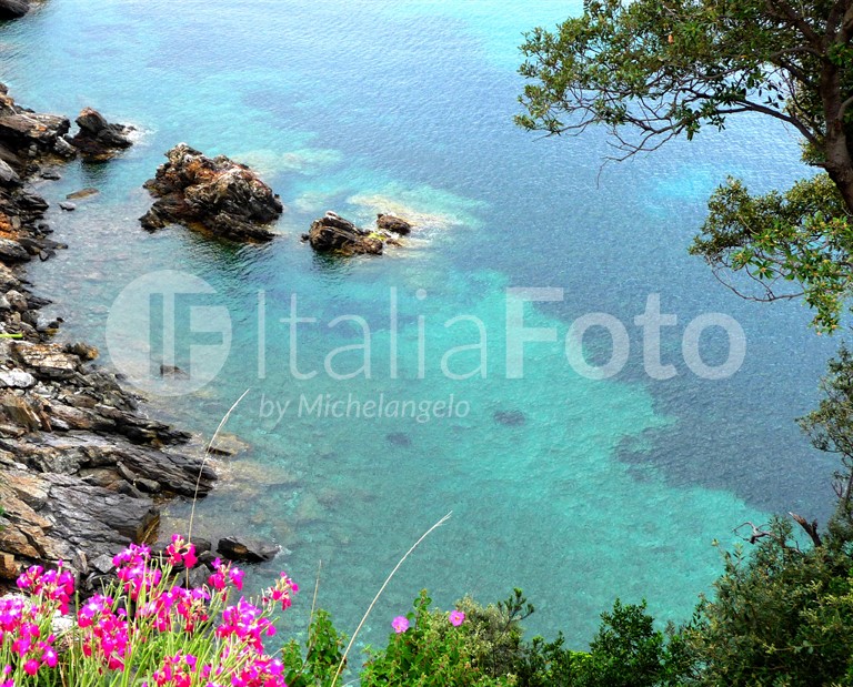 Toscana-Isola d'Elba