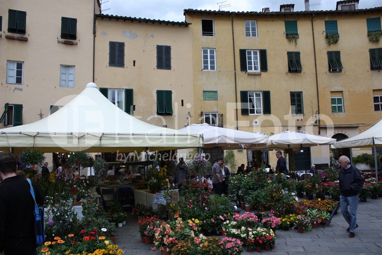 Toskana-Lucca