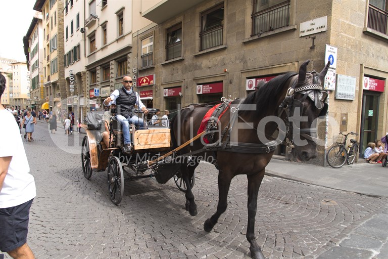 Toskana-Florenz-Kutsche
