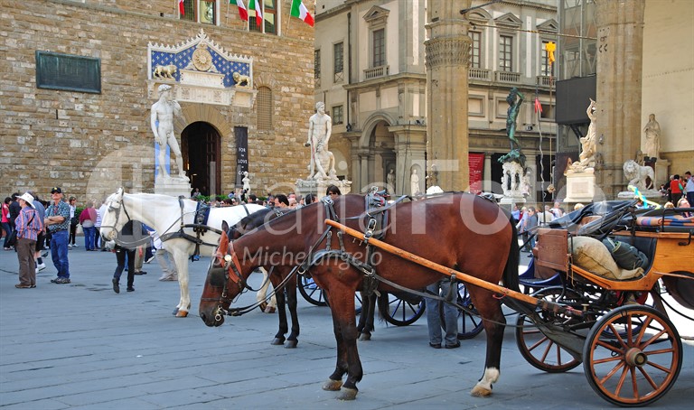 Toskana-Florenz-Kutsche