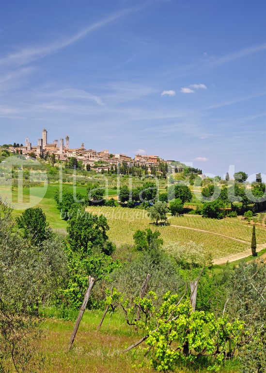 Toskana-San Gimignano