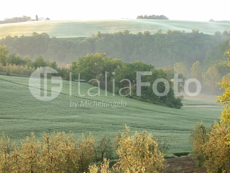 Umbria-Orvieto