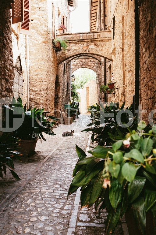 Umbrien-Spello