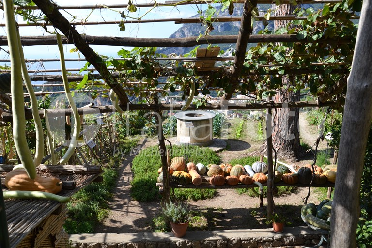 Kampanien-Ravello-Villa Rufolo