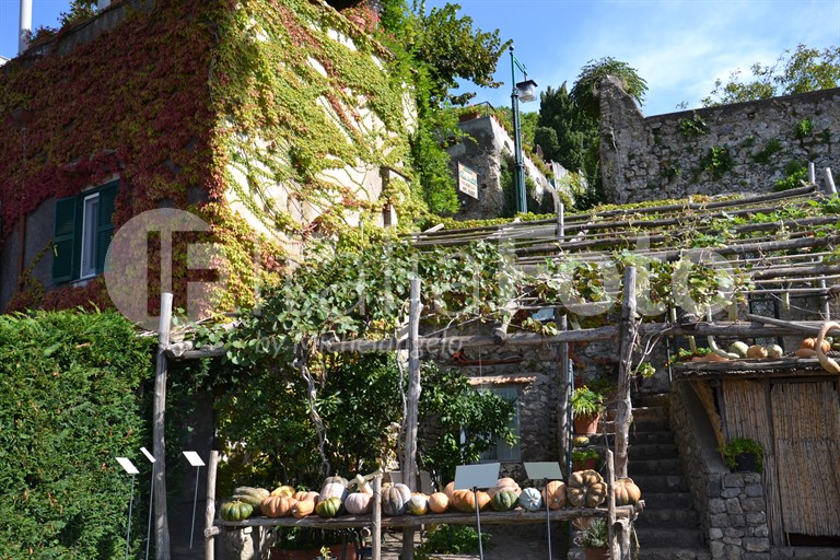 Kampanien-Ravello-Villa Rufolo
