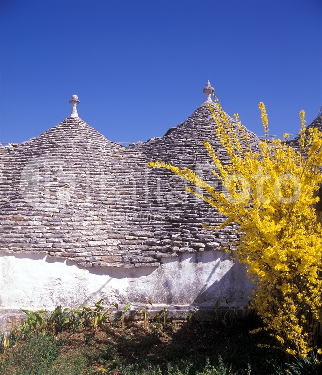 Apulien-Alberobello-Trullo