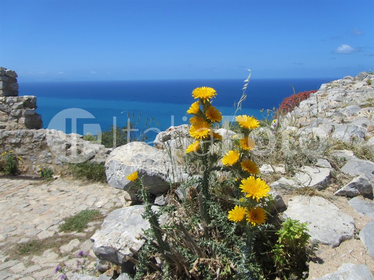 Sizilien-Cefalù