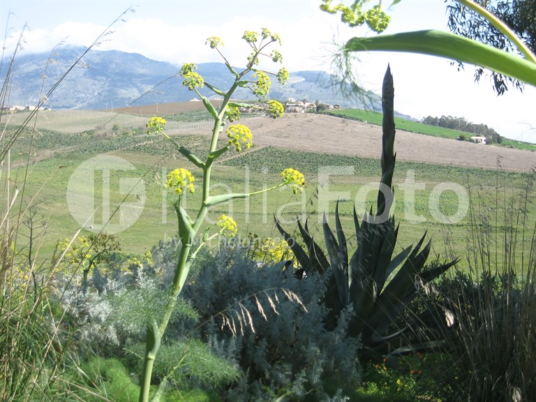 Sizilien-Segesta