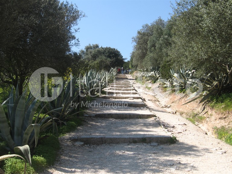 Sizilien-Segesta