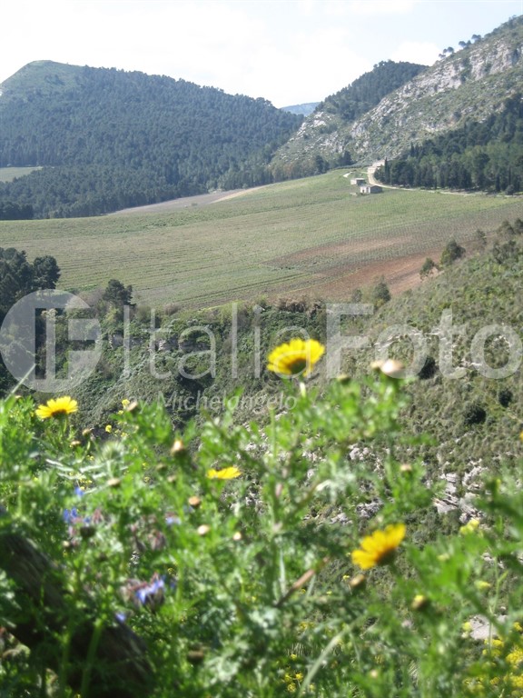 Sizilien-Segesta