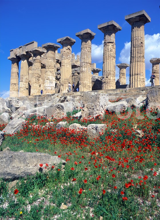 Sizilien-Selinunte