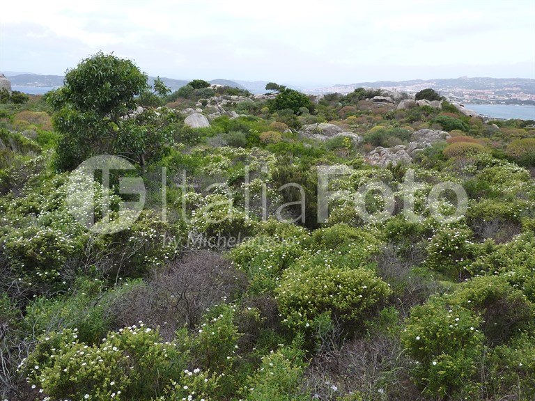 Sardinien-La Maddalena
