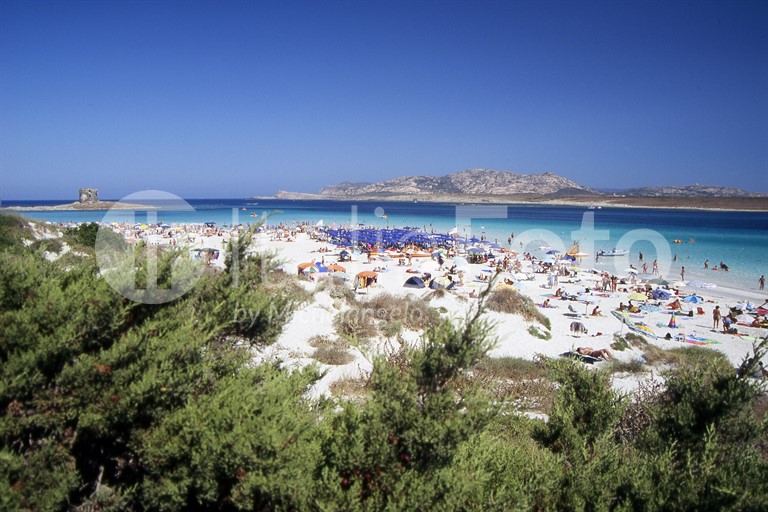 Sardinien-Pelosa