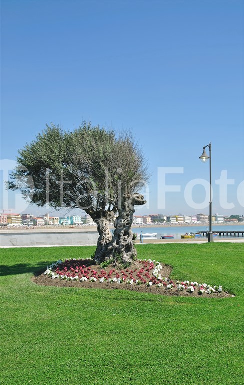 Venetien-Adriatisches Meer-Caorle