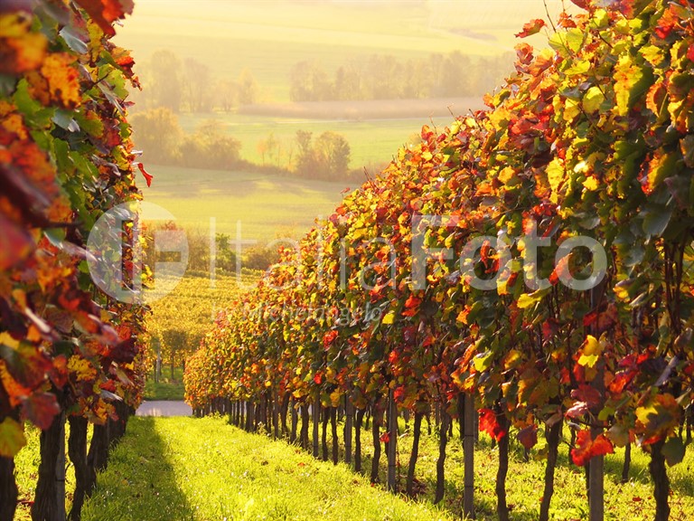 Venetien-Prosecco Hügel-Valdobbiane