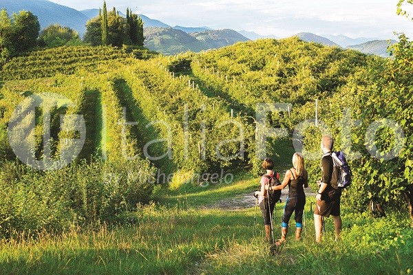 Venetien-Prosecco Hügel-Valdobbiane