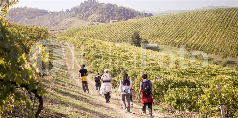 Venetien-Prosecco Hügel-Valdobbiane