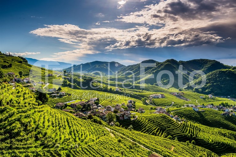 Venetien-Prosecco Hügel-Valdobbiane