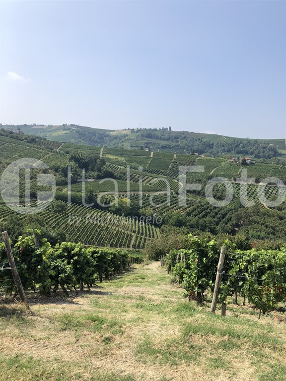 Piedmont-Castiglione Tinella