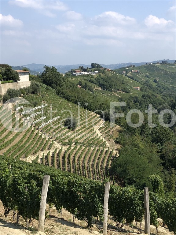 Piedmont-Castiglione Tinella