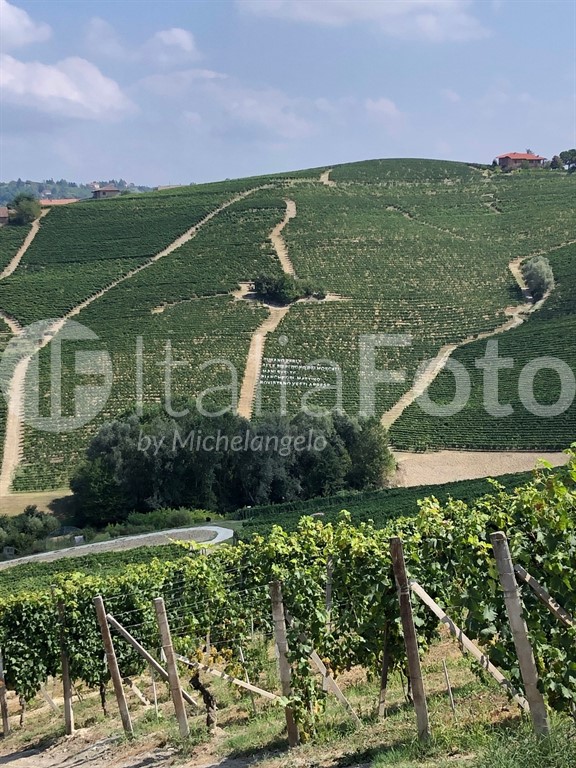 Piemont-Langhe