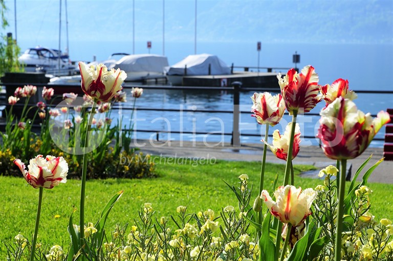 Locarno