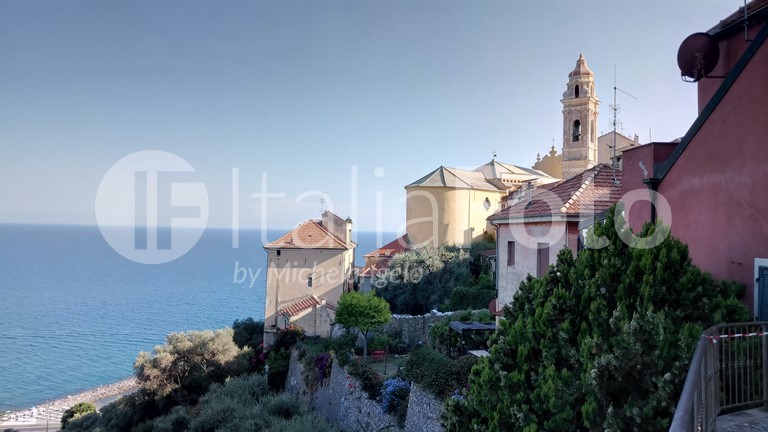 Cervo