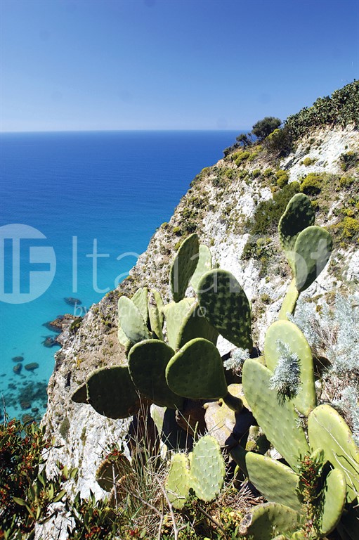 Capo Vaticano