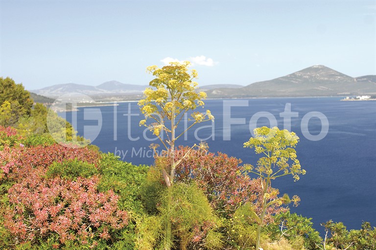 Paesaggi Sardinien