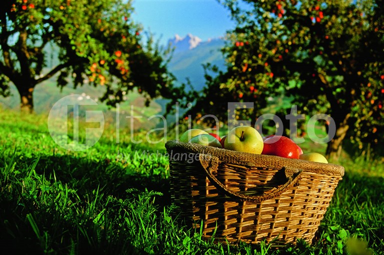 Gusto (Südtirol)