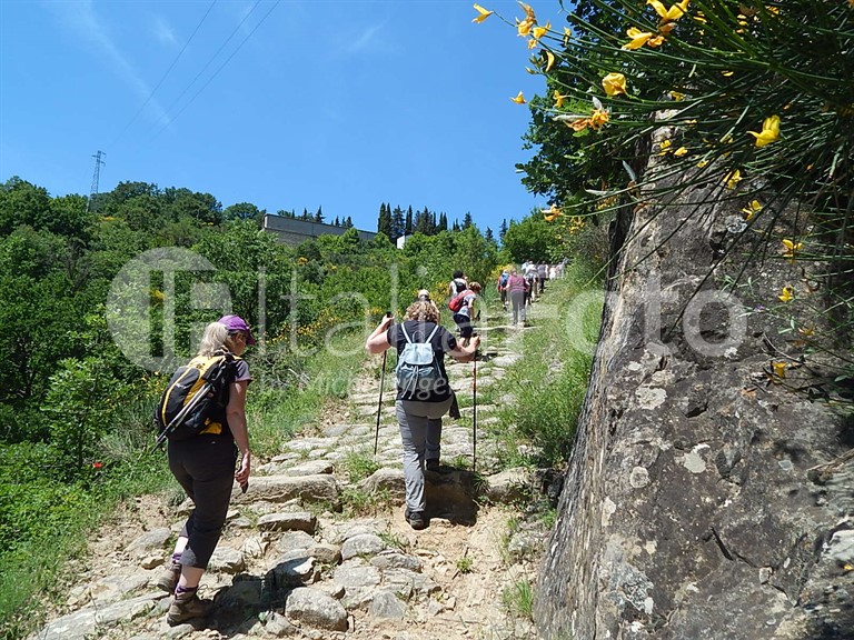ACTIVO (Kalabrien - Basilicata)