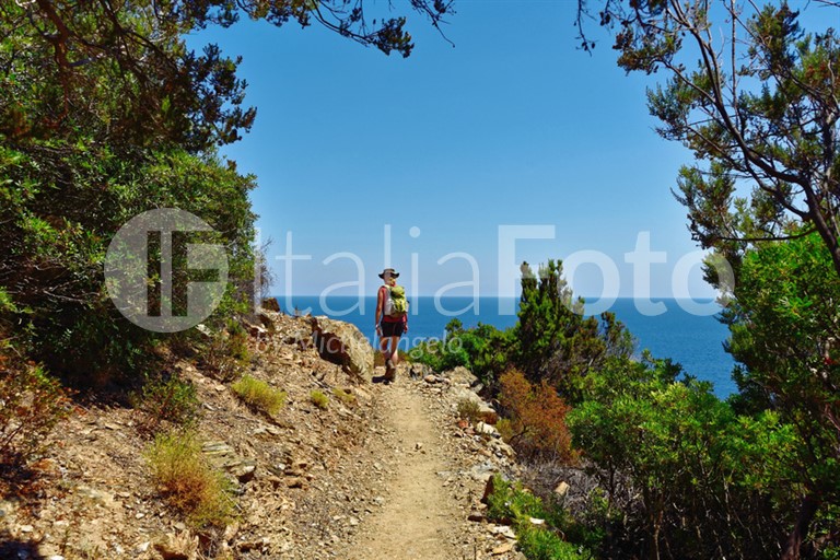 ACTIVO (Sardinien)