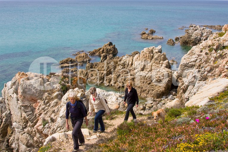 ACTIVO (Sardinien)