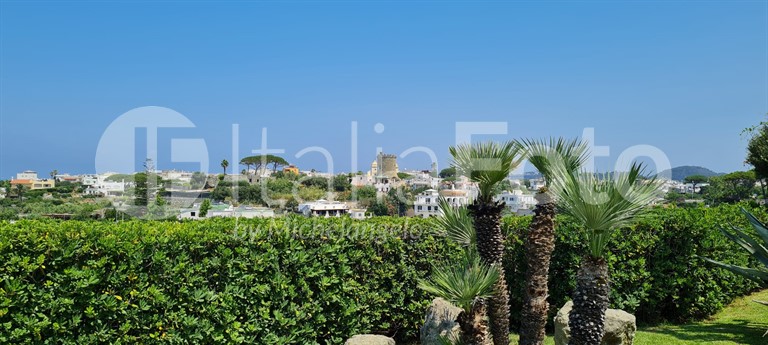 Albatros - Ischia