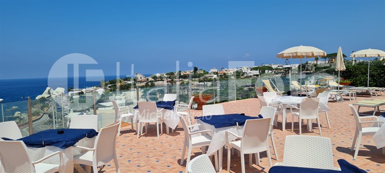 Albatros - Ischia