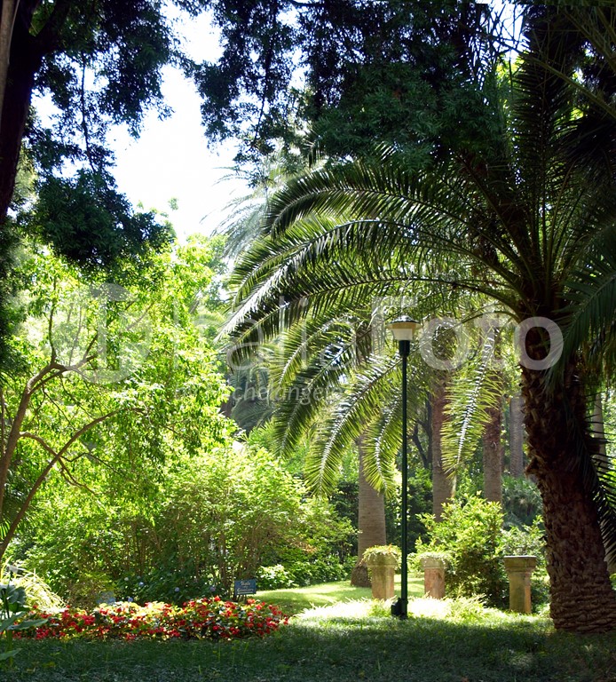 La Residenza - Sorrento
